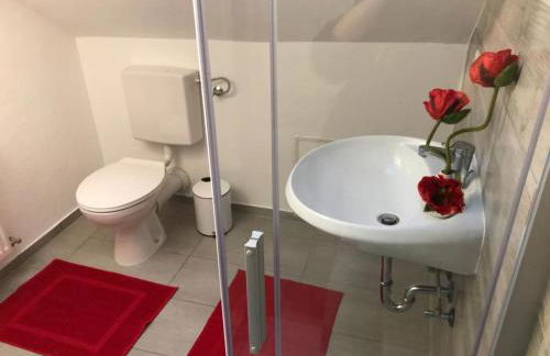 Haus Astenblick in Winterberg für bis zu 35 Personen für Wanderveranstaltungen und Familienfeiern - Foto 59