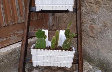 Nni Turiddu - Foto 14