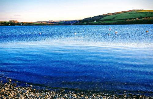 Treforgan Newydd - Foto 28