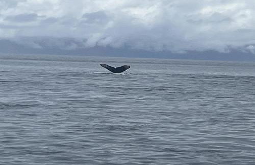 Juneau Family Friendly Getaway 301 - Foto 24