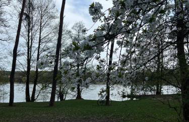 Apartament Jerzyn - Foto 58