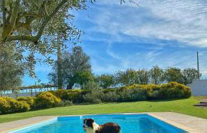 Quinta da Tapada de São Pedro - Foto 37