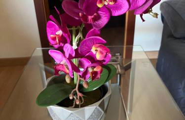 Ático la Terraza - Photo 33