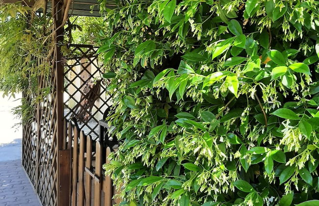 Casa di Campagna Dal Pozzo - Foto 75