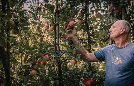 Agritur Coryletum - Foto 47