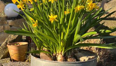 "An der alten Mühle 1" Große Fewo 110 qm, zentral gelegen, zwei Schlafzimmer, Südbalkon, Gartenterrasse & Wallbox - Foto 3