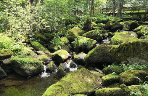 Fuchsenstein 44 - Foto 14