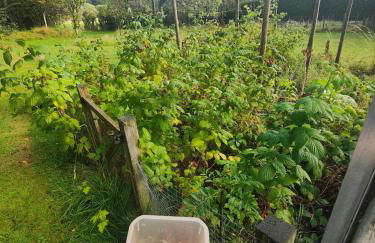 Cozy cottage at the base of Sale and Ling Fell - Foto 13