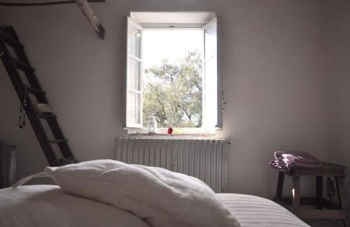 Agriturismo La Forestaria - Foto 16