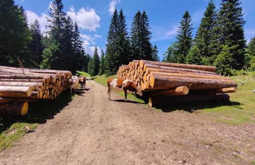 Gîte de la Diligence - Foto 28