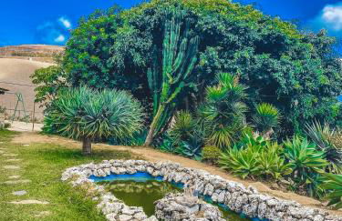 Alojamento Casas da Serra - Foto 36