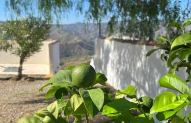 Casa del Burro Perezoso - Foto 29