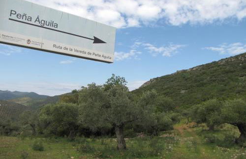 Cortijo "Era Grande 2" - Foto 31