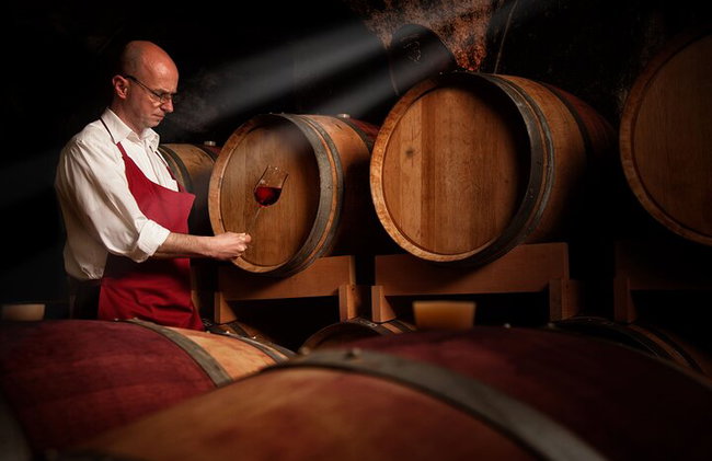 Excursion d'une journée à Vitoria, La Rioja et visite d'un domaine viticole à Laguardia au départ de Bilbao - Photo 7