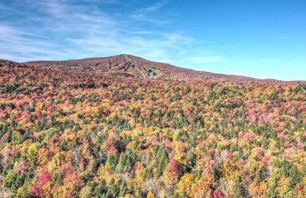 Stratton and Bromley 9 BRs Estate with a Swimming Pool - Foto 38