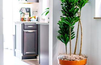 Jungle House Luxury Homes - Columbus Downtown Short North - Steps to Convention Center & Nationwide Arena - Sleeps up to 6 - Free Parking - Over 5,800 Five Stars - Foto 86