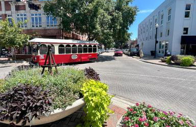The Texas Bluebonnet Home in Historic McKinney - Foto 42