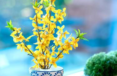 Folsom Old Town Escape - Foto 15