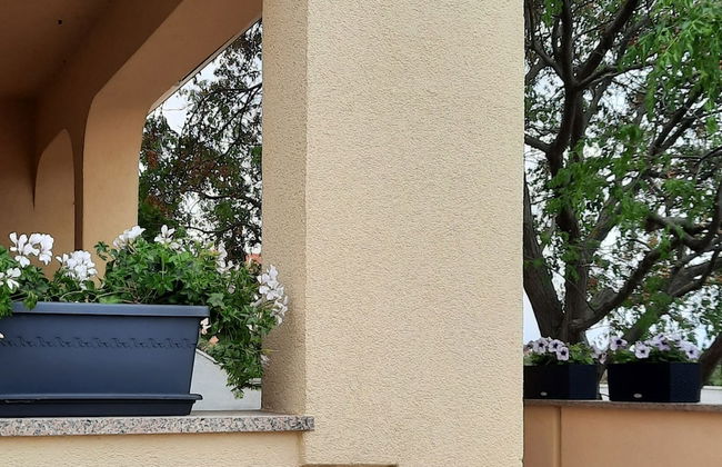 Apartment Stella Casa Bruno - Foto 20