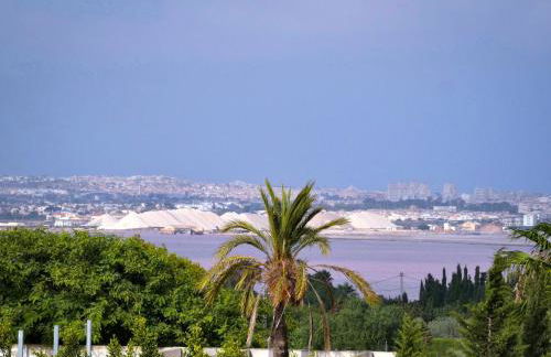 LagoVista45 - Foto 18