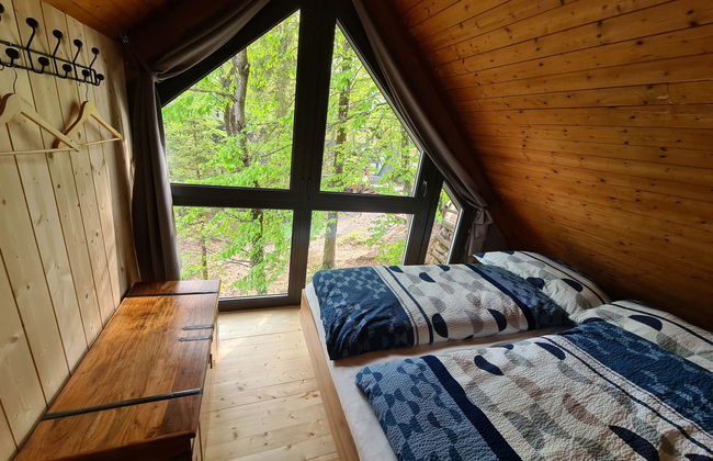 Bosco della Bella 6 - Foto 17