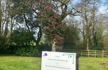 Rosecraddoc Lodge 23 - Photo 22