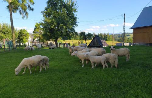 U Marii & Mariana - Foto 7