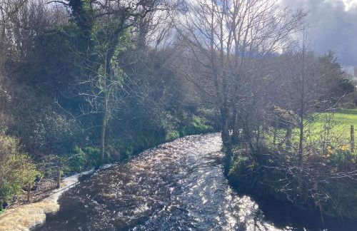 Mill River Retreat - Foto 25