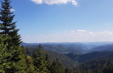 Ferienwohnung am Kapellenberg - am Rande des Nationalparks Schwarzwald - Foto 17