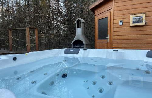 WA100 - Moderne Mobilheime im Oberpfälzer Seenland - Foto 6