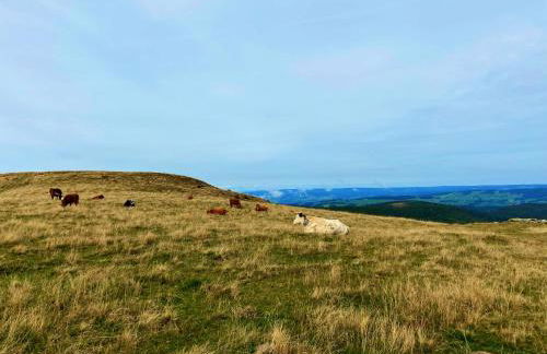 Ferienhaus Robin - Foto 60