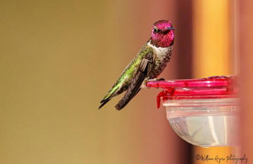 Welcome to Raven Ridge Lodge - where time slows - Photo 80