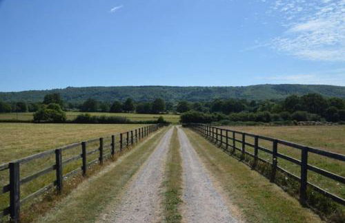 Barn Cottage -Westerlands - Foto 19