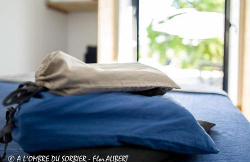 A l'OMBRE du SORBIER - Foto 12