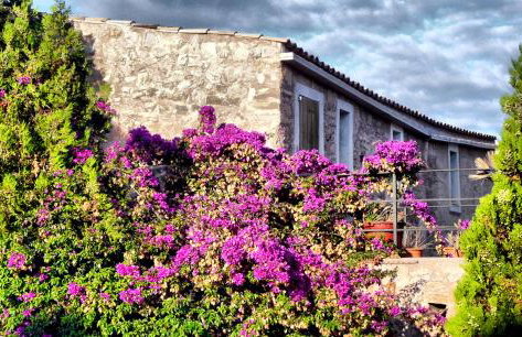 Casa Es Putxet - Foto 7
