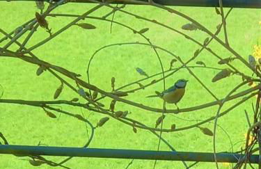 Agriturismo Malvista - Foto 74