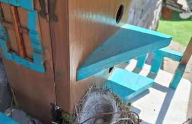 Cozy Nest House Δίκορφο Ζαγορίου - Foto 36