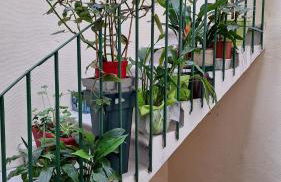 Vacance et Cure dans Duplex 80 M2 à CERET 66400 - Foto 22