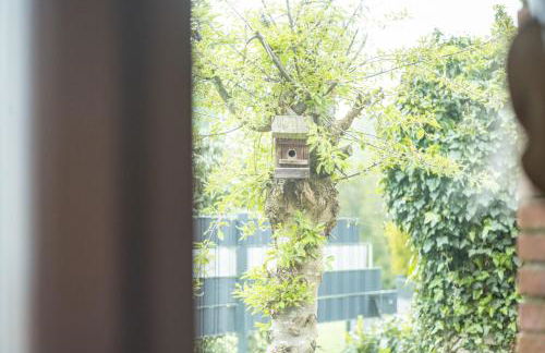 Ferienhaus Groenhoff 35122 - Foto 16