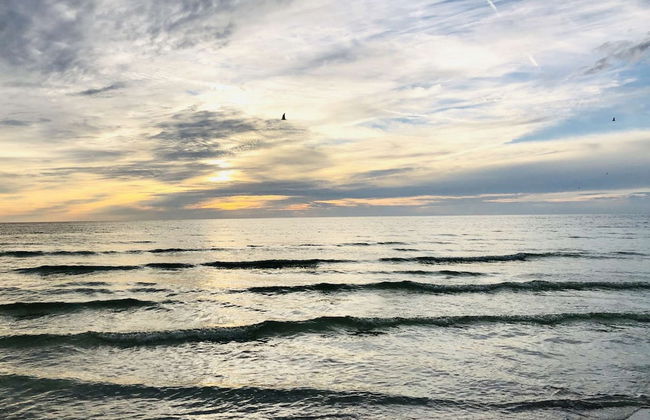 Bay Oaks C Second Floor - Foto 41