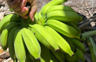 Porto Taipu - Foto 72