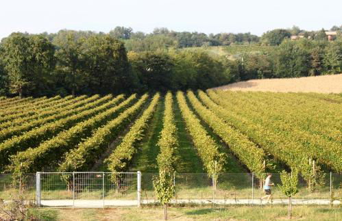 Agriturismo Caspineda - Foto 62