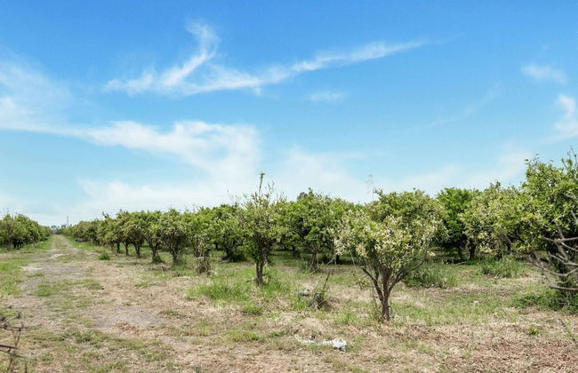 Holiday Home in Carlentini With Swimming Pool - Foto 36