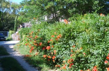 Le Clos Martin - Foto 23