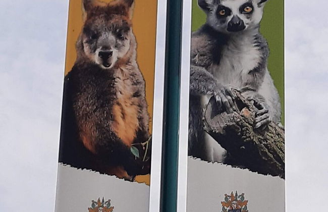 Stylish Holiday Home by the sea - Foto 42