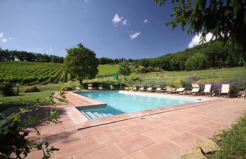 Podere Vignola - Foto 8