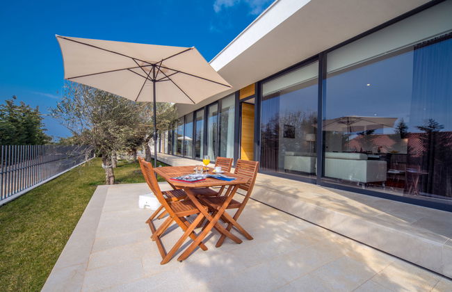 Golden Ray - Foto 10