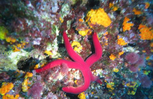 Casa Costanza - Foto 29