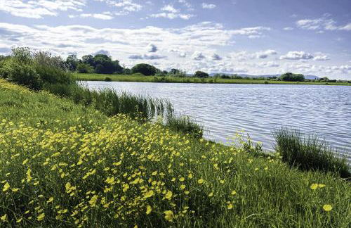 Herons Nest - Foto 26