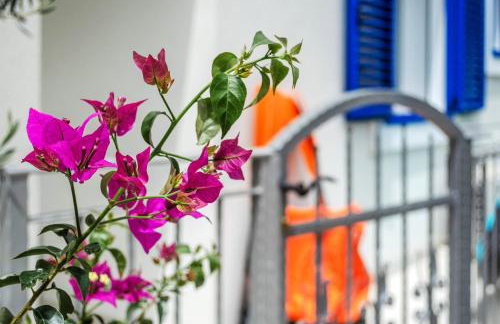 Summer House Bougainvillea by Dubrovnik Colors - Foto 45